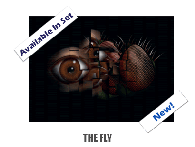 The Fly Notecard