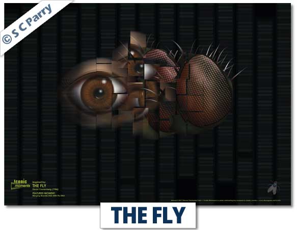 The Fly