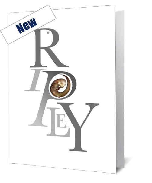 Alien 3 Notecard - £3.99