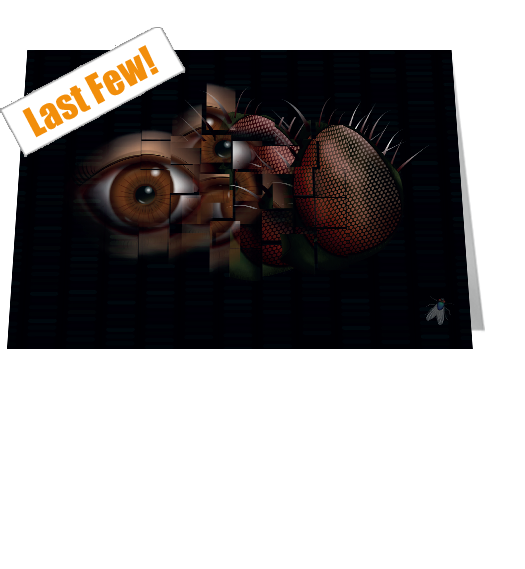 The Fly Notecard £3.99