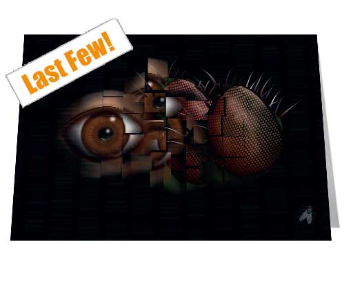 The Fly Notecard £3.99