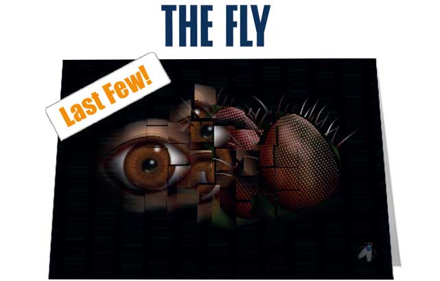 The Fly Notecard £3.99