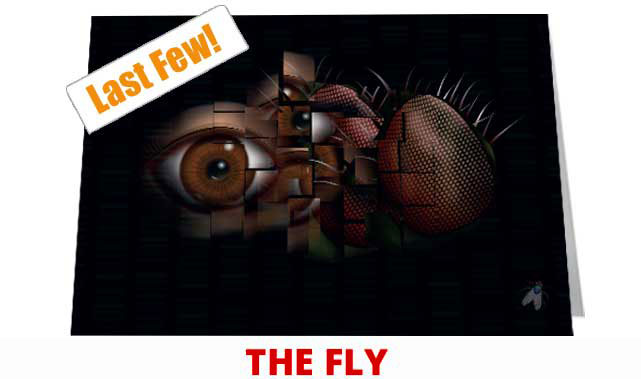 The Fly Notecard £3.99