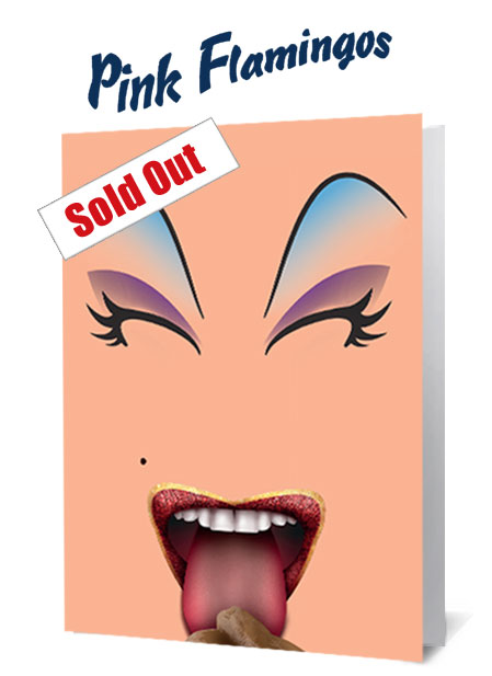 Pink Flamingo's Notecard £3.99