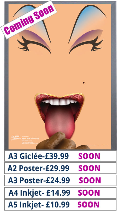 Pink Flamingos Print - Price From £10.99