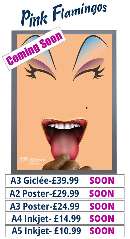 Pink Flamingos Prints & Posters From £10.99