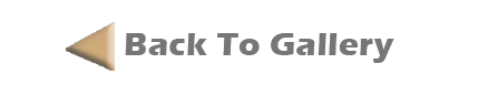 Back To Gallery Button