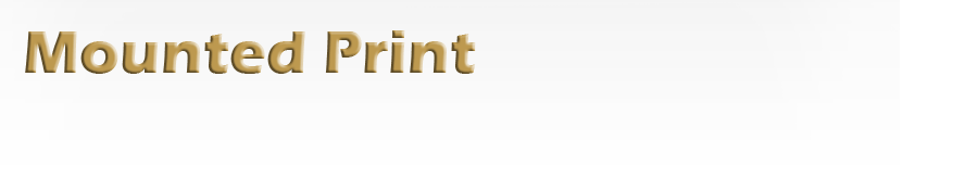 Shirley Bassey Diamond Print