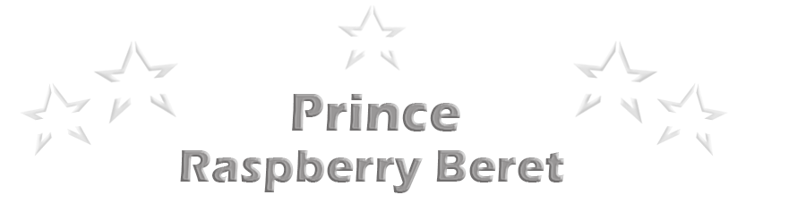 Prince - Raspberry Beret