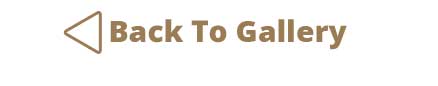 Back To Gallery Button