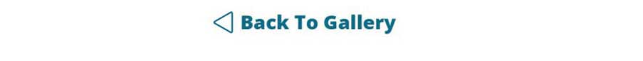 Back To Gallery Button