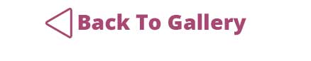 Back To Gallery Button