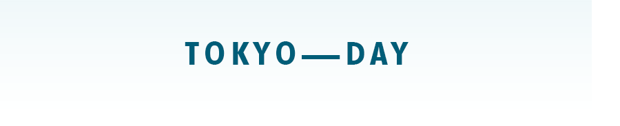 Tokyo — Day Skyline