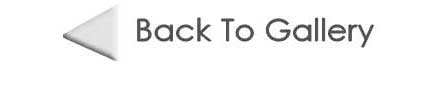 Back To Gallery Button