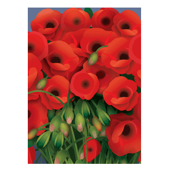 Vincents Poppies