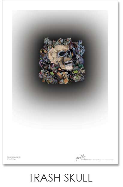 Trash Skull Print