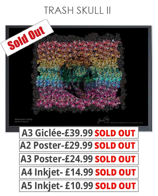 Trash Skull 2 - Prints & posters from £10.99