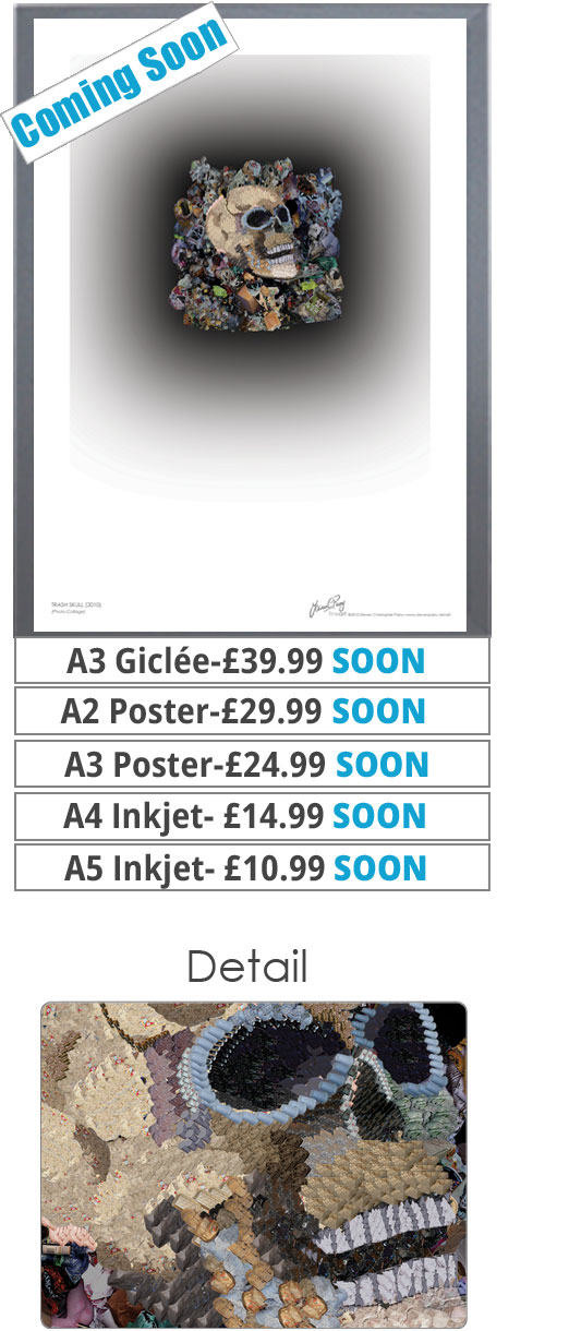 Trash Skull Print - Price From 10.99