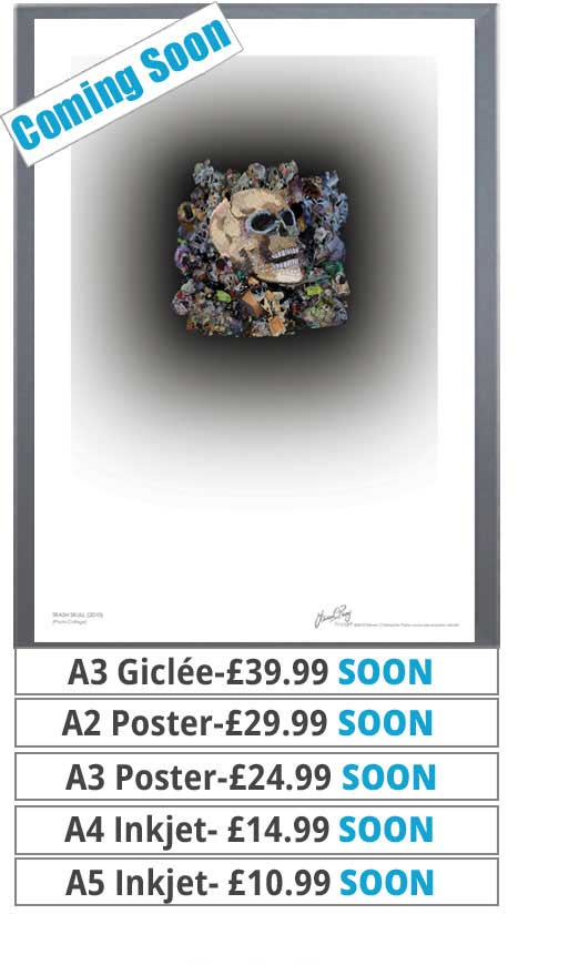 Trash Skull Print - Price From 10.99