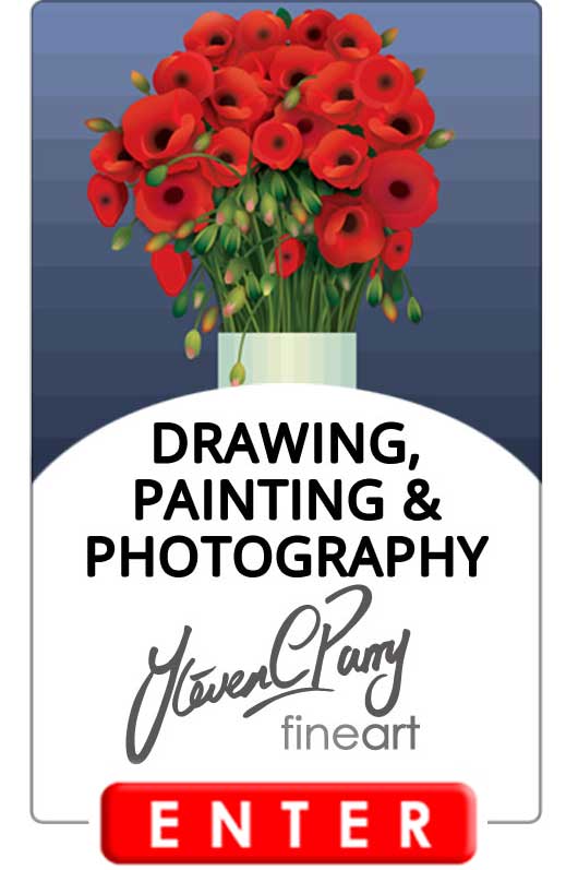 Enter Steven Parry Fine Art Website 