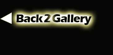 Back To Gallery Button